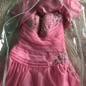 Quinceañera dress/ sweet 16 dress